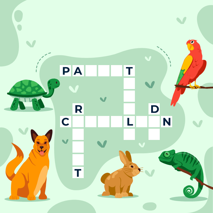 Digital Fun Puzzles